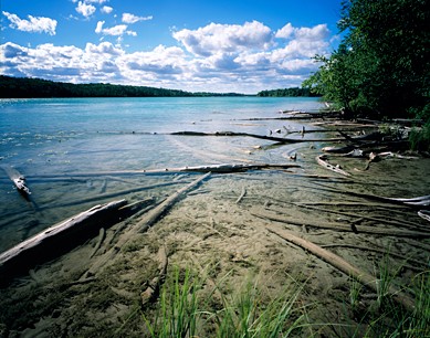 DeYoung Natural Area - The Leelanau ConservancyThe Leelanau Conservancy