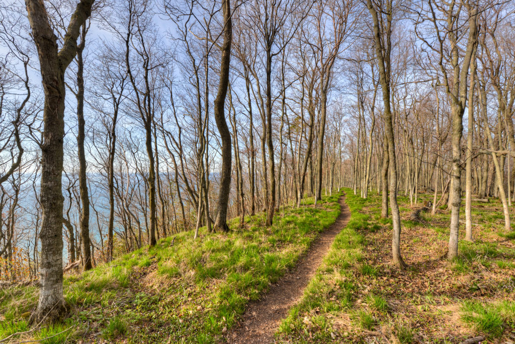 Whaleback Natural Area - The Leelanau Conservancy