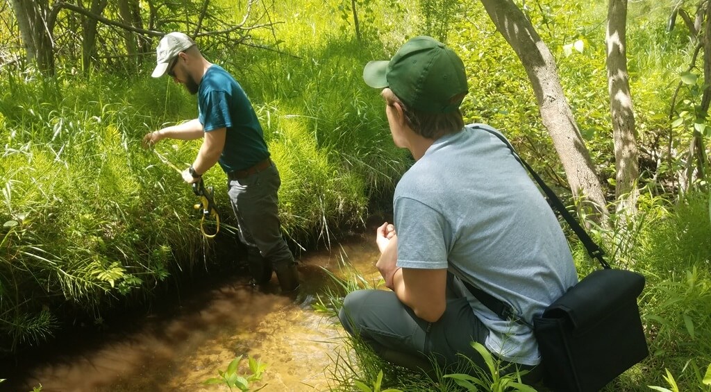 The wild, wonderful world within the Cedar River Preserve - The Leelanau  Conservancy