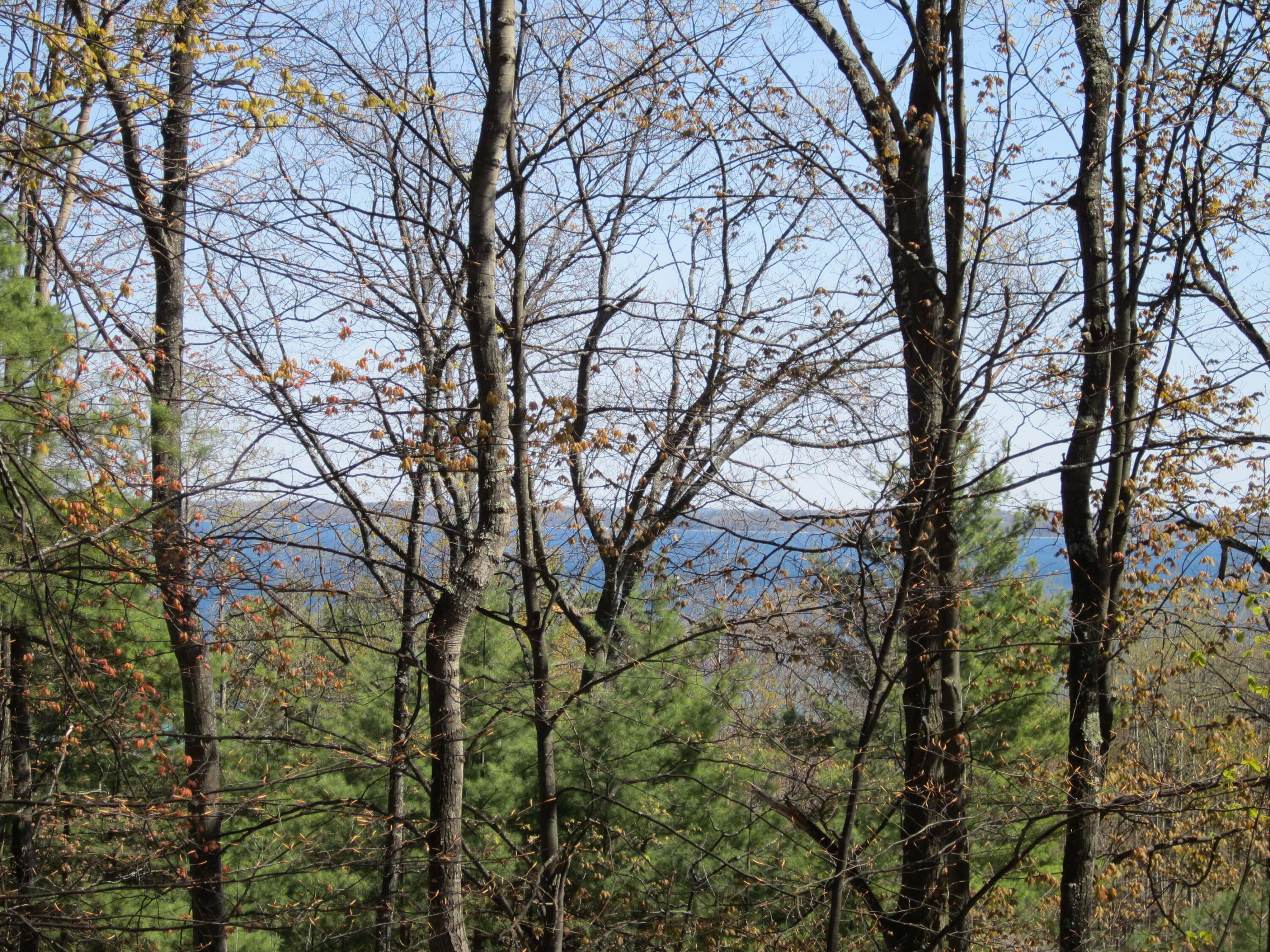 41 Acre Ridge-Top Woodland Near TC Forever Preserved - The Leelanau ...