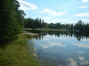 Duff Brook Lake Easement PP#5_NWcorner_lake_2