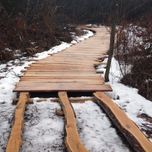 The six-foot wide boardwalk leads to the fishing pier on Cedar Lake