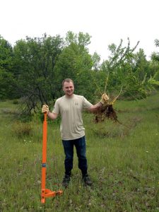 Chase Heise with root puller and Japanese barberry root IMG_3941