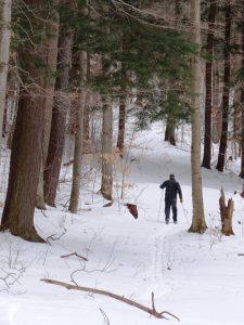 Palmer Woods Brian Price on xx skis WEB