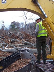 A worker surveys the downed trees at Alligator Hill. 