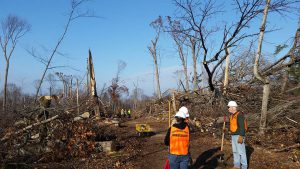 A crew works on re-building the Alligator Hill trail.