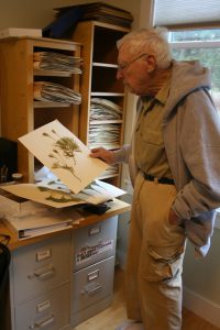 Dr. Palmer with fern specimens.