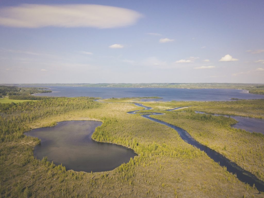 How climate change is impacting the Hudson Bay Lowlands — Canada's largest  wetland