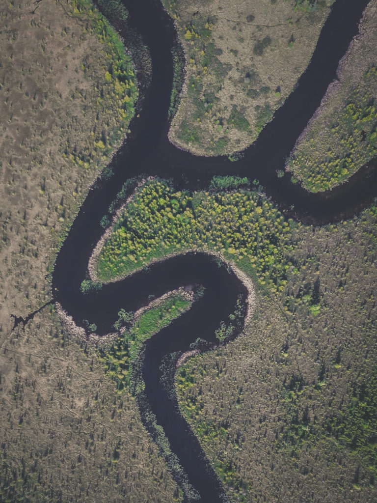 The wild, wonderful world within the Cedar River Preserve - The Leelanau  Conservancy