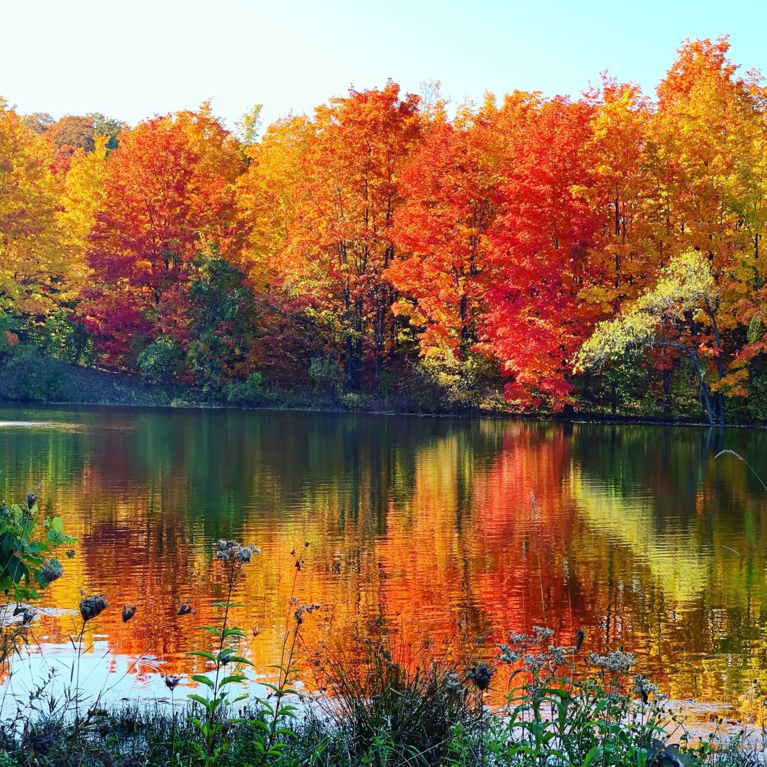 Gallagher Family Protects Beloved Farmland - The Leelanau Conservancy