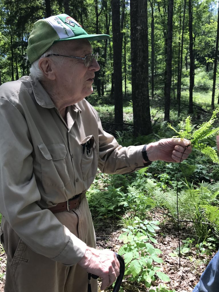 New Fern Garden at Palmer Woods Takes Shape - The Leelanau Conservancy