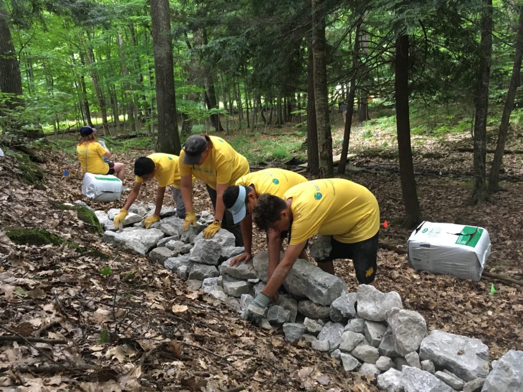 New Fern Garden at Palmer Woods Takes Shape - The Leelanau Conservancy