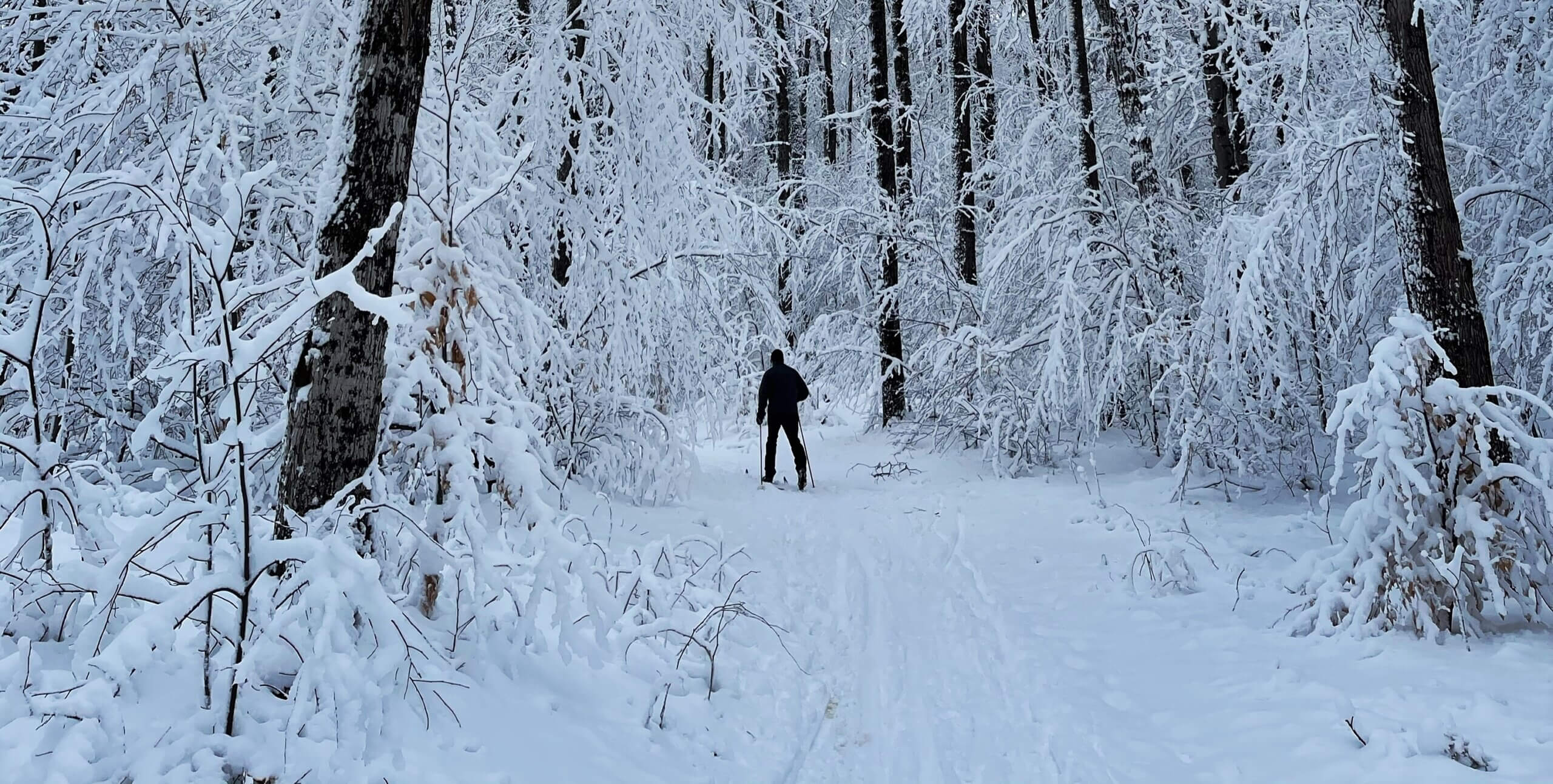 Winter Trails Day - The Leelanau Conservancy