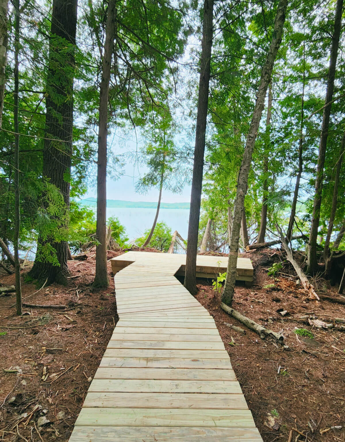 Pat's Preserve at Lime Lake - The Leelanau Conservancy